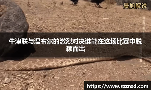 OB视讯官方网站