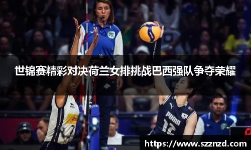 OB视讯官网